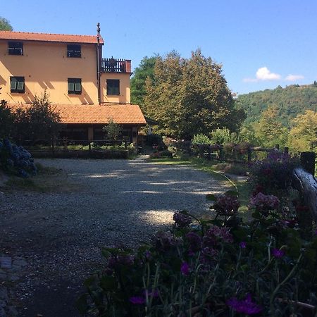 Agriturismo La Taverna Del Nonno Борцонаска Экстерьер фото